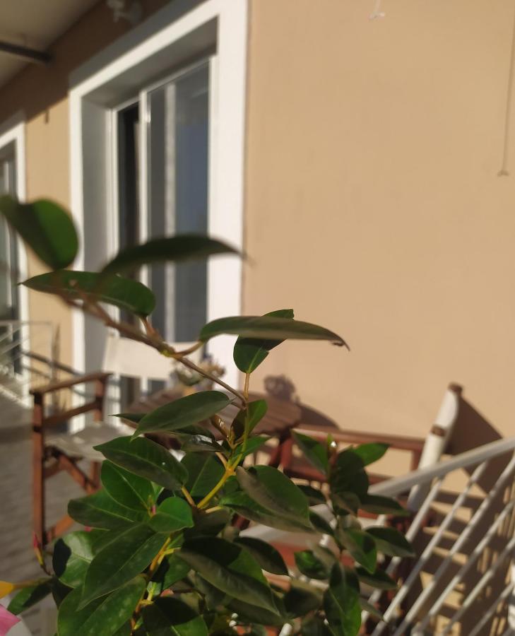 Apartmani Vico Herceg Novi Exterior foto